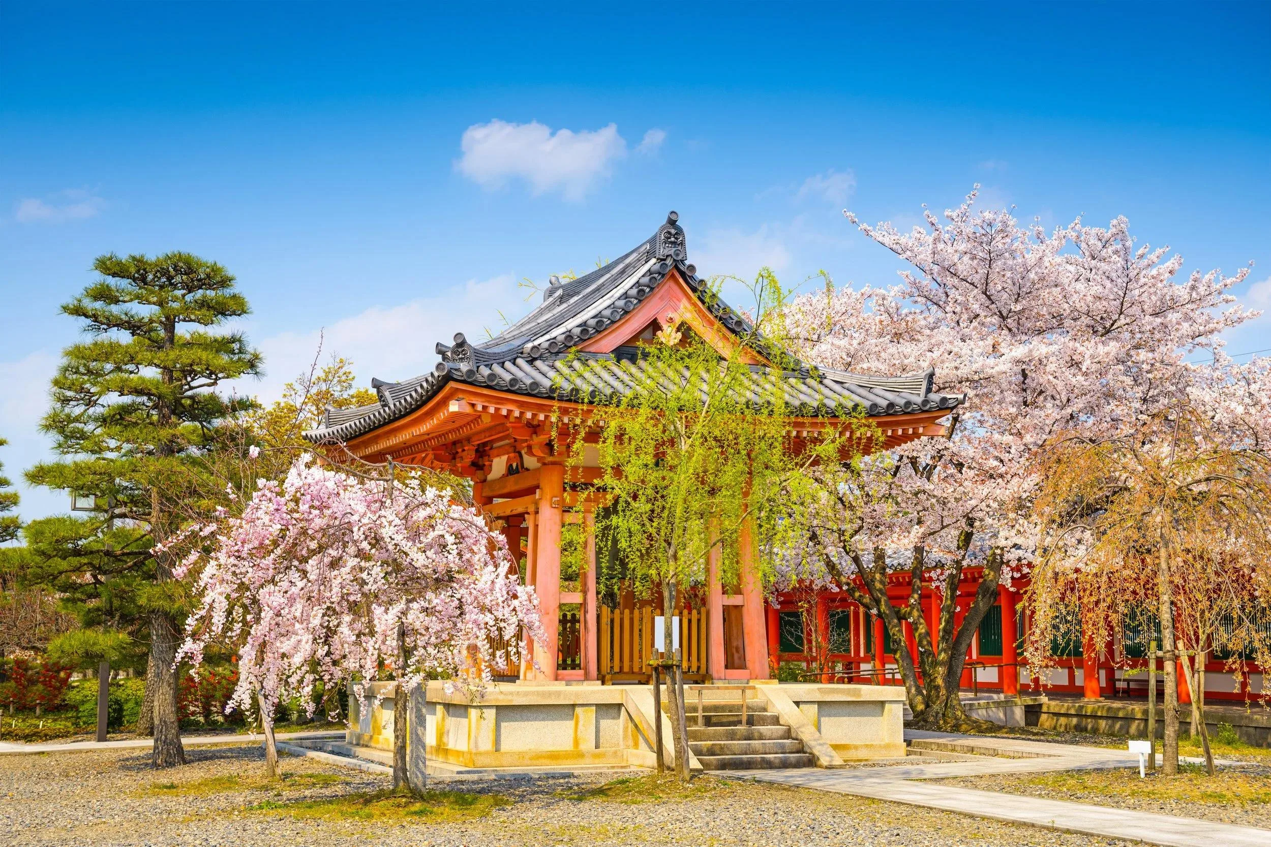 Historic temples and gardens in Kyoto, Japan during cherry blossom season